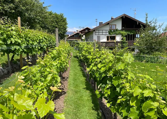 Am Weinberg *