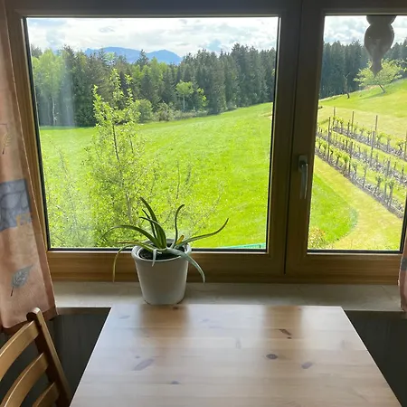 Apartmán Am Weinberg