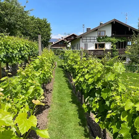 Am Weinberg *