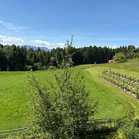 Am Weinberg Appartement Rimsting